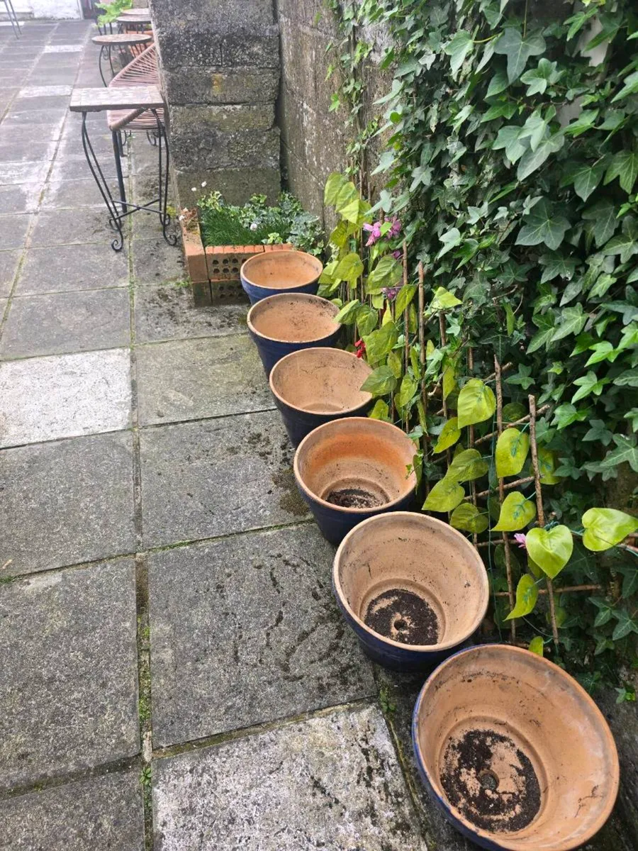 Plant pots - Image 2