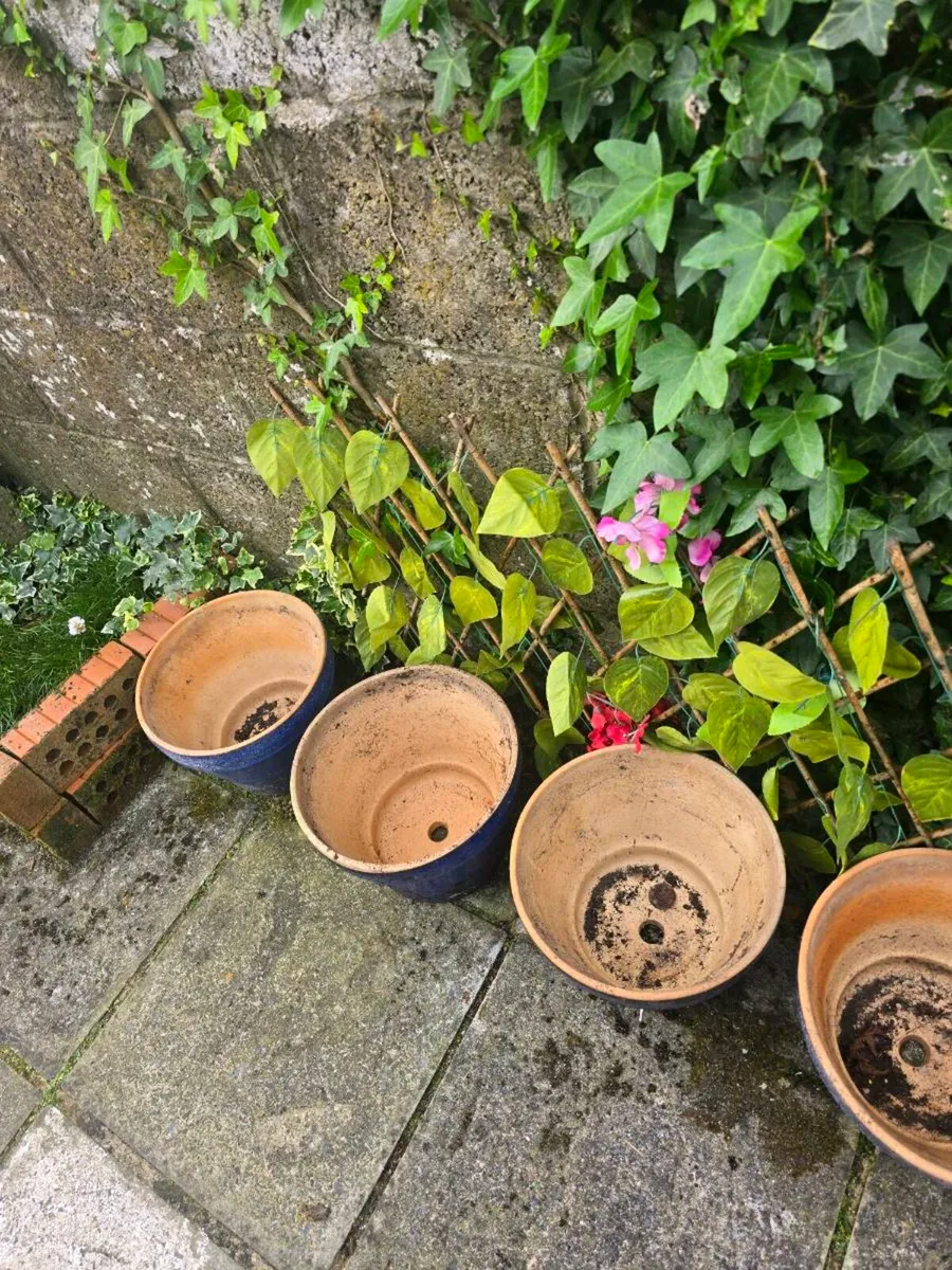 Plant pots - Image 3