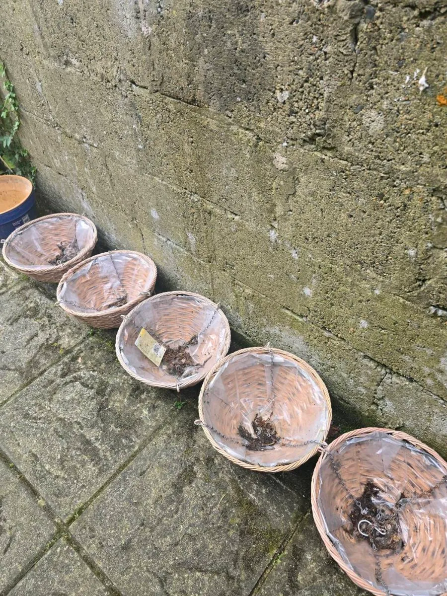 Hanging baskets - Image 2