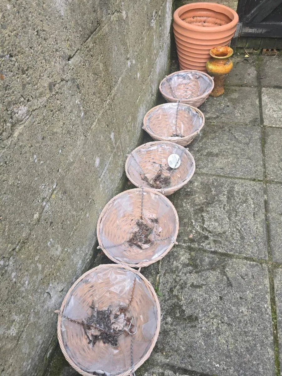 Hanging baskets - Image 3