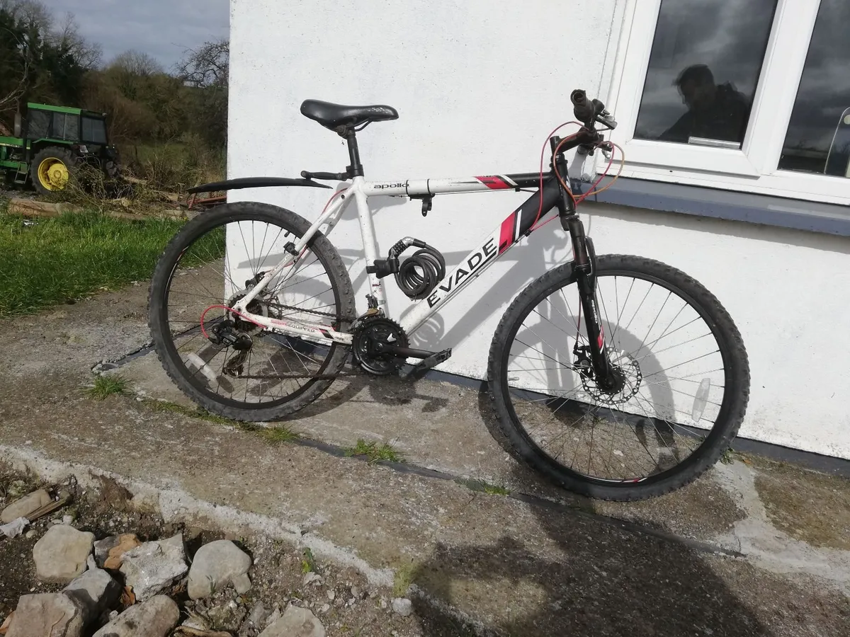 Gents mountain bike - Image 1