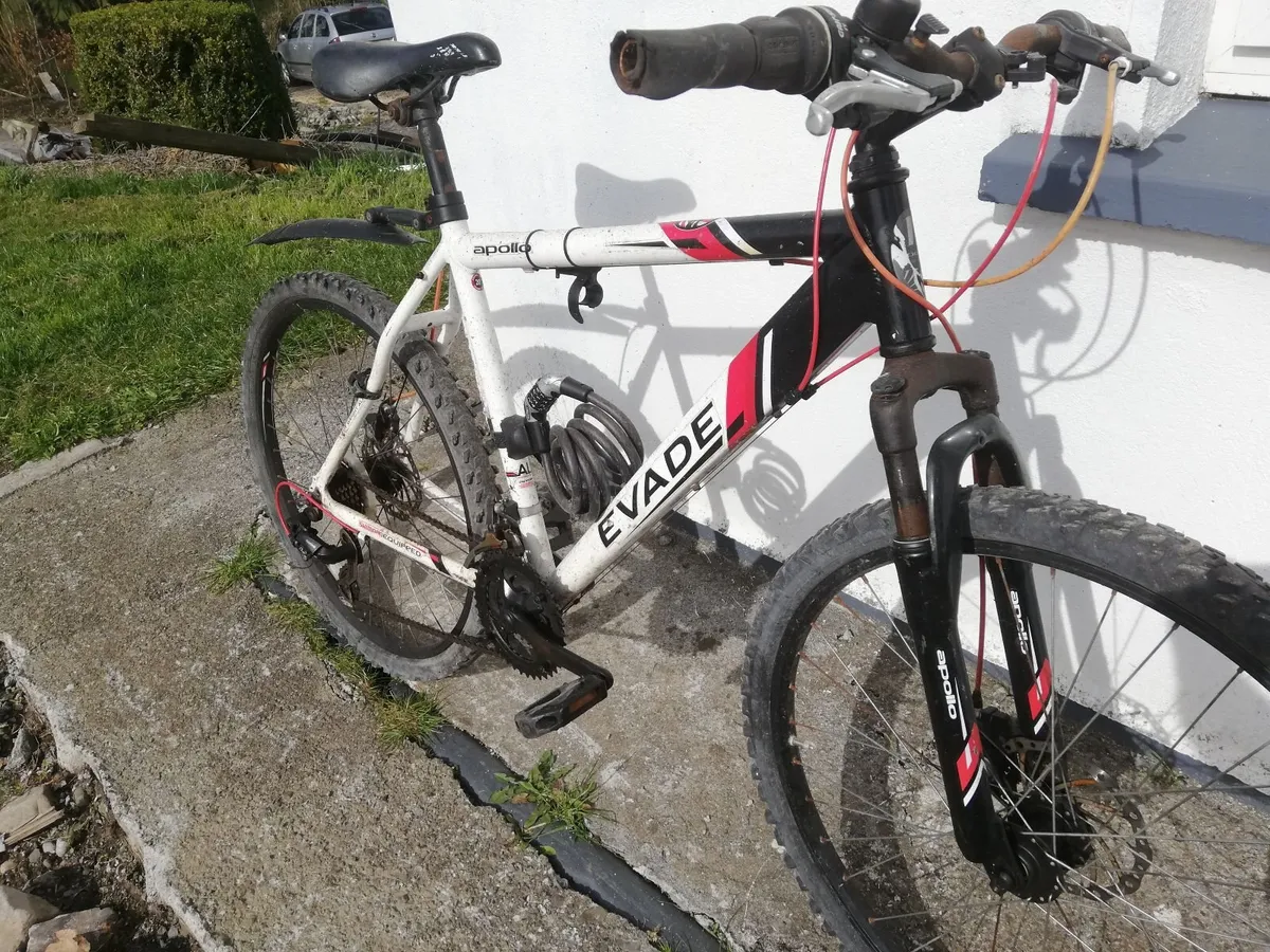 Gents mountain bike - Image 2