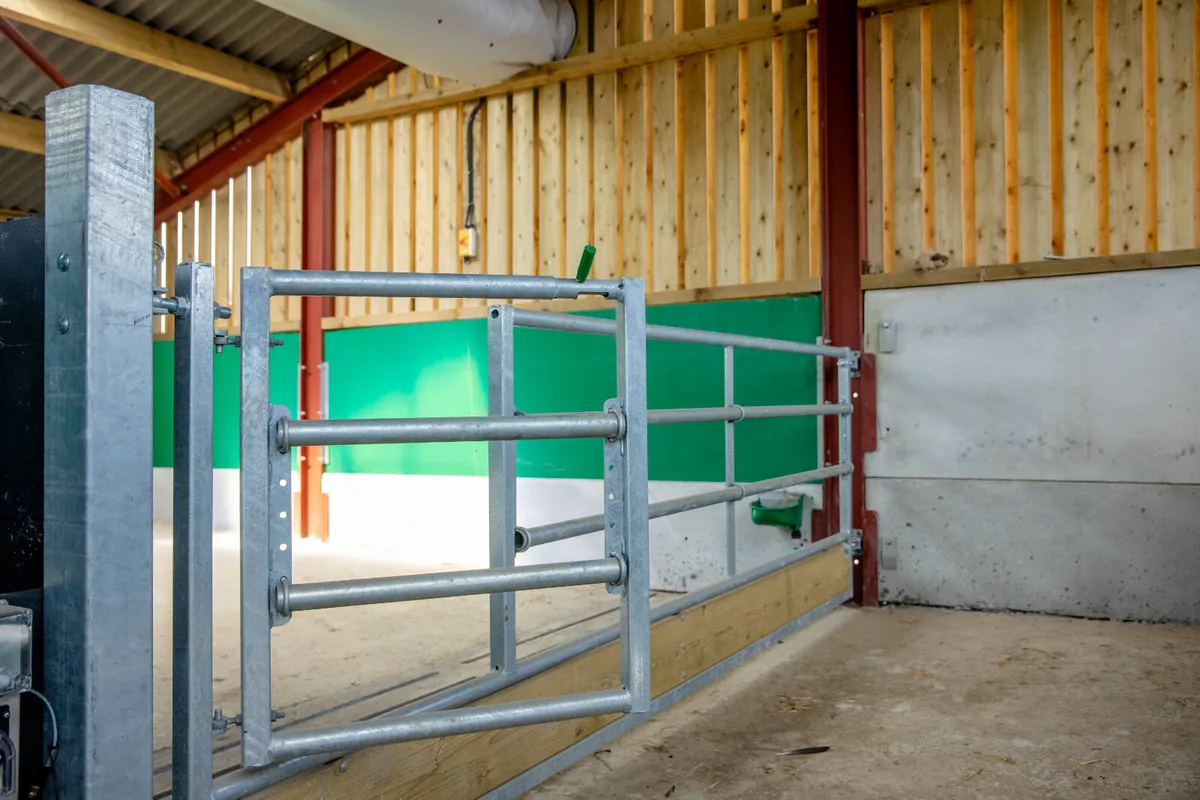 Mono Calf Building - Image 3