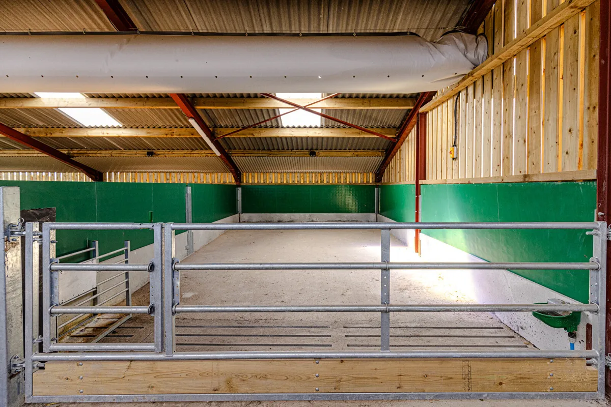 Mono Calf Building - Image 4