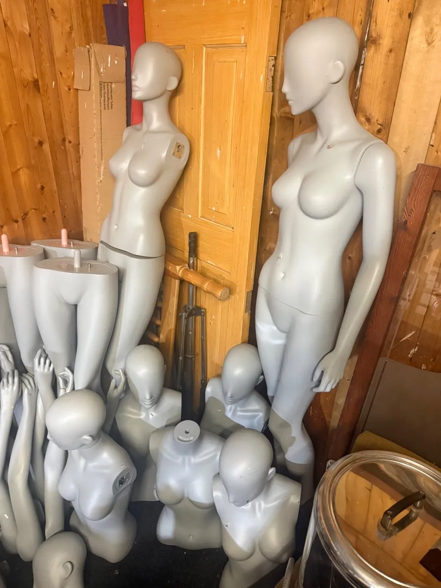 Selection of mannequins - Image 1