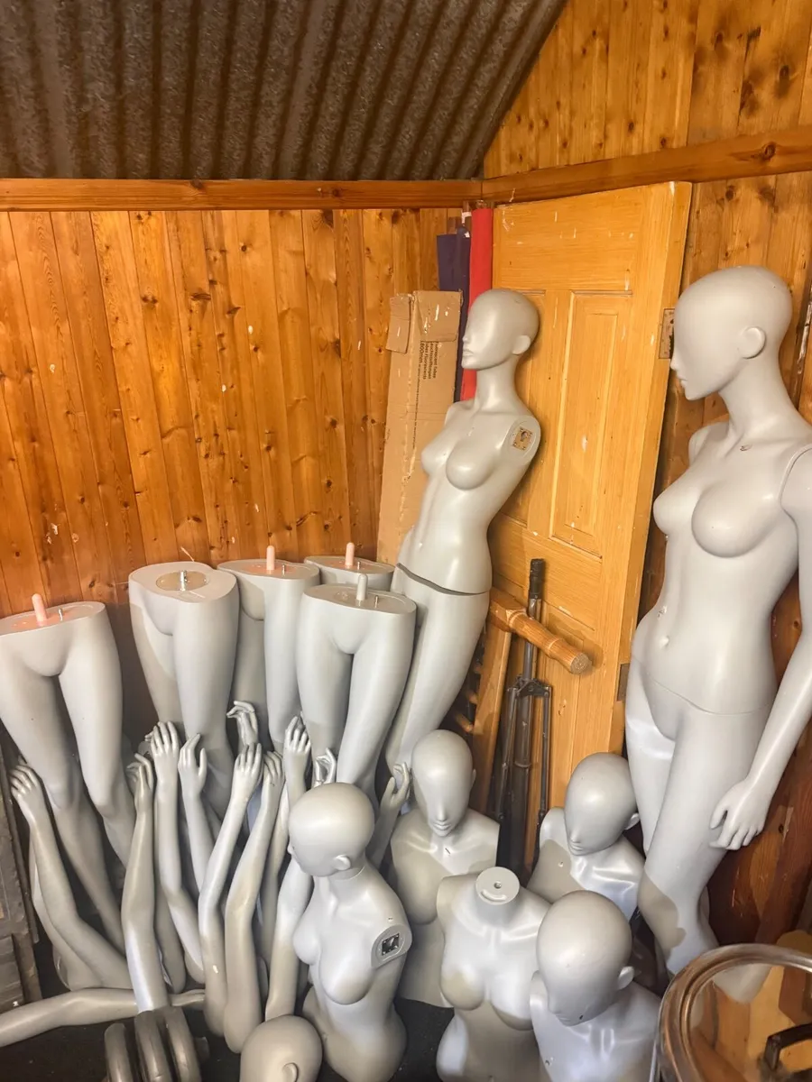 Selection of mannequins - Image 3