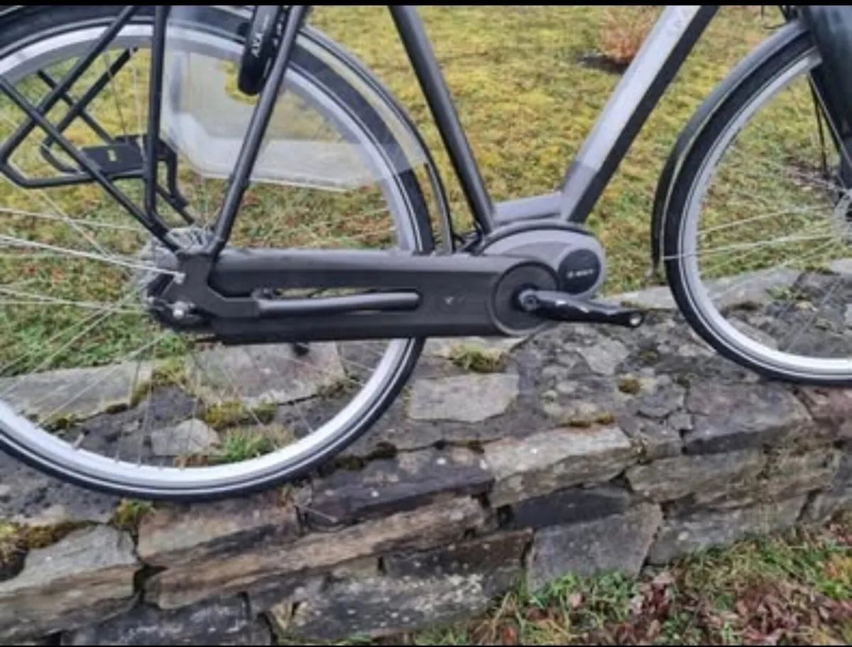 ebike Bosch Bosch - Image 2