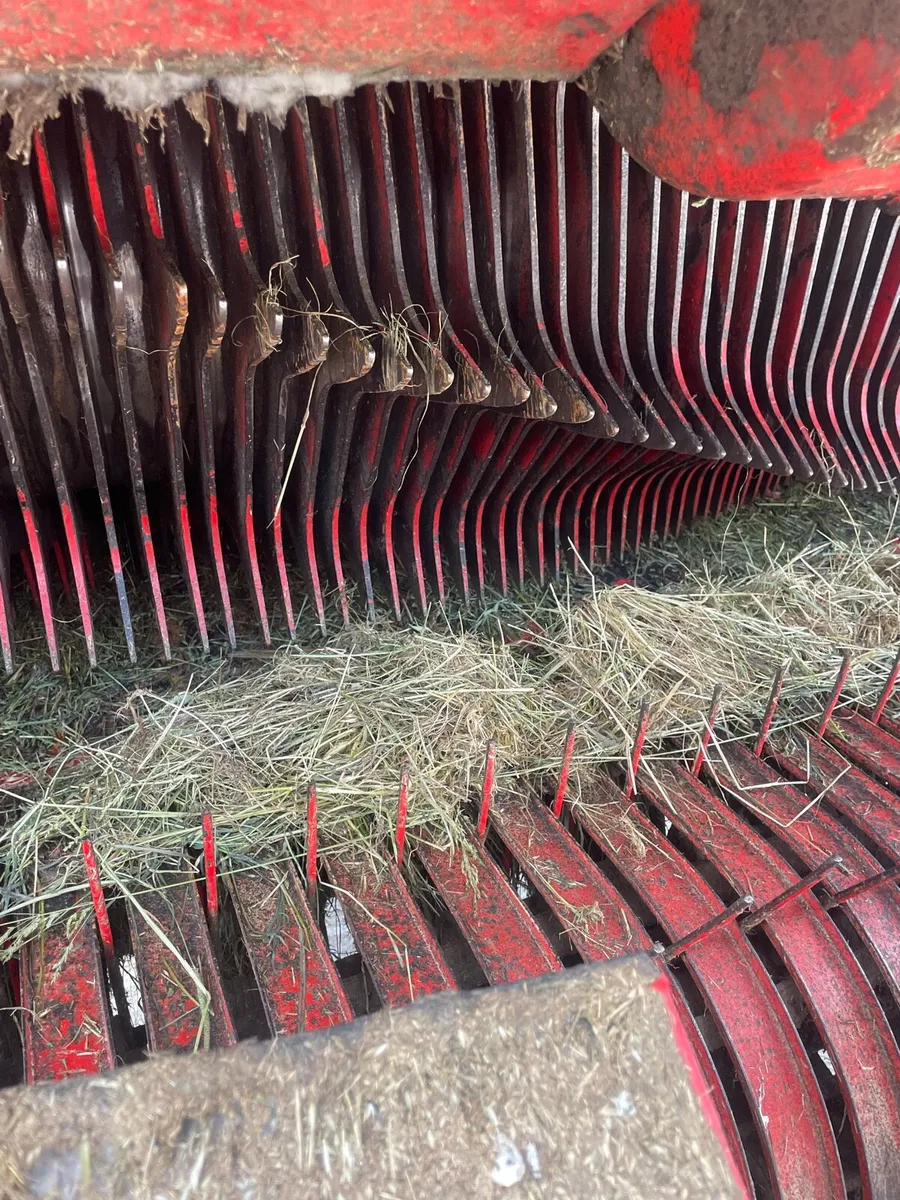 Silage wagon - Image 2