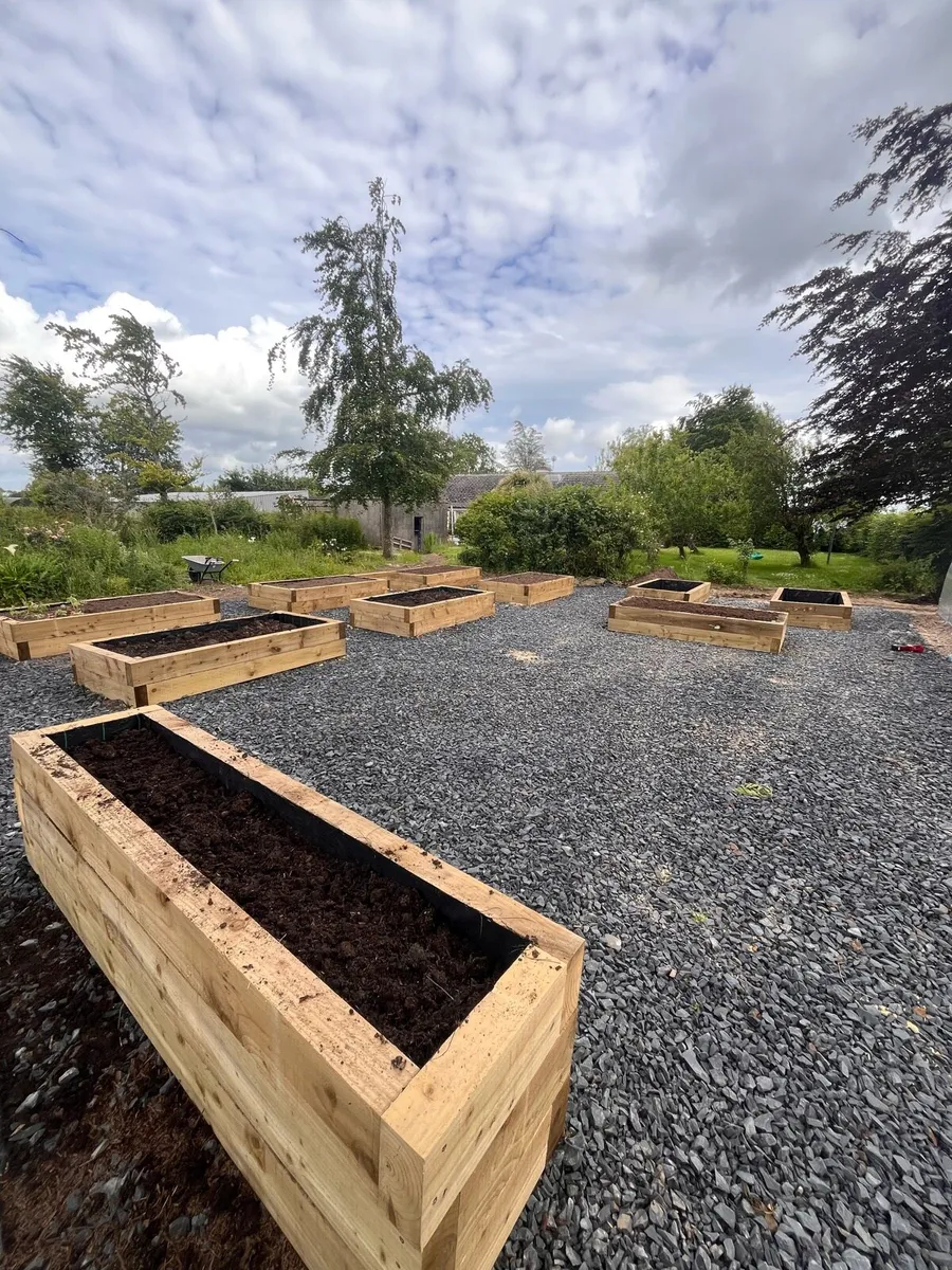 Raised planter beds - Image 2