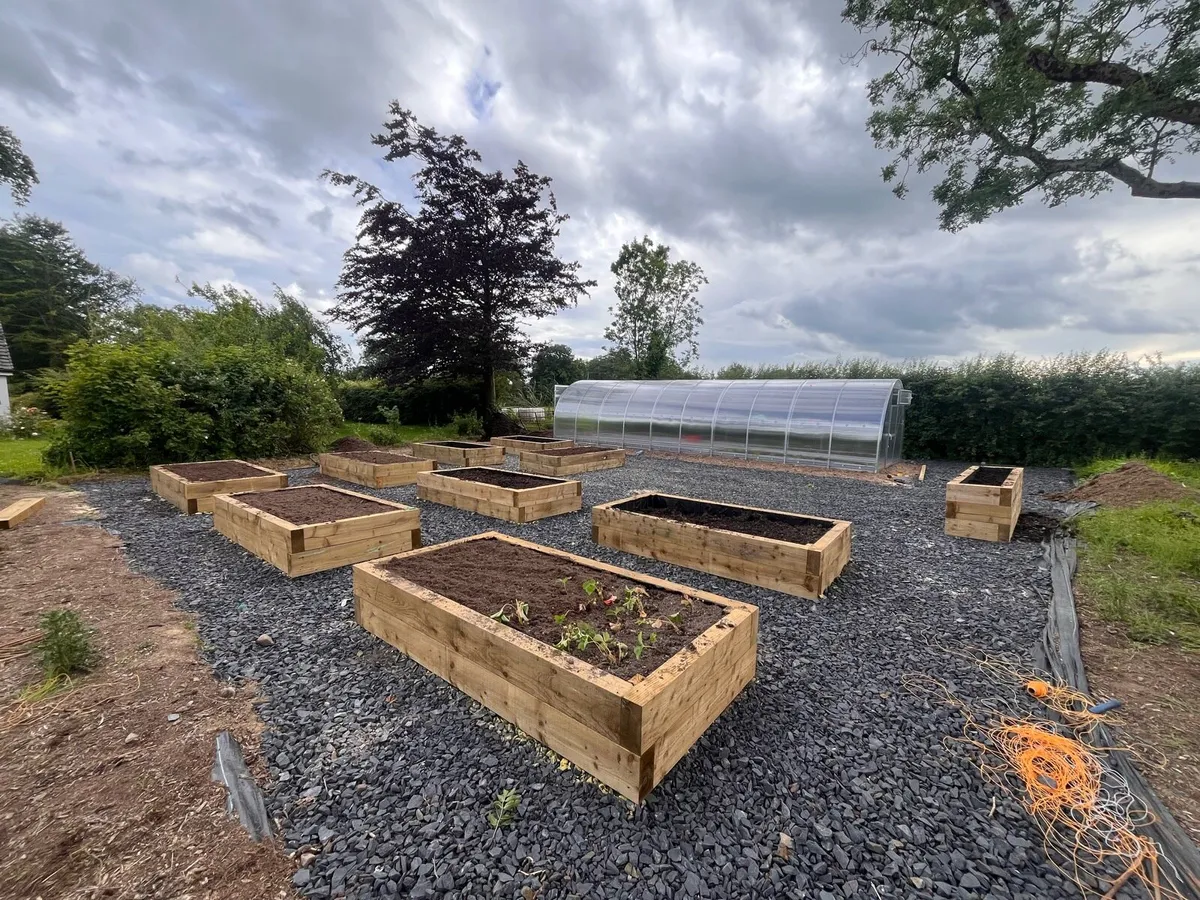 Raised planter beds - Image 4