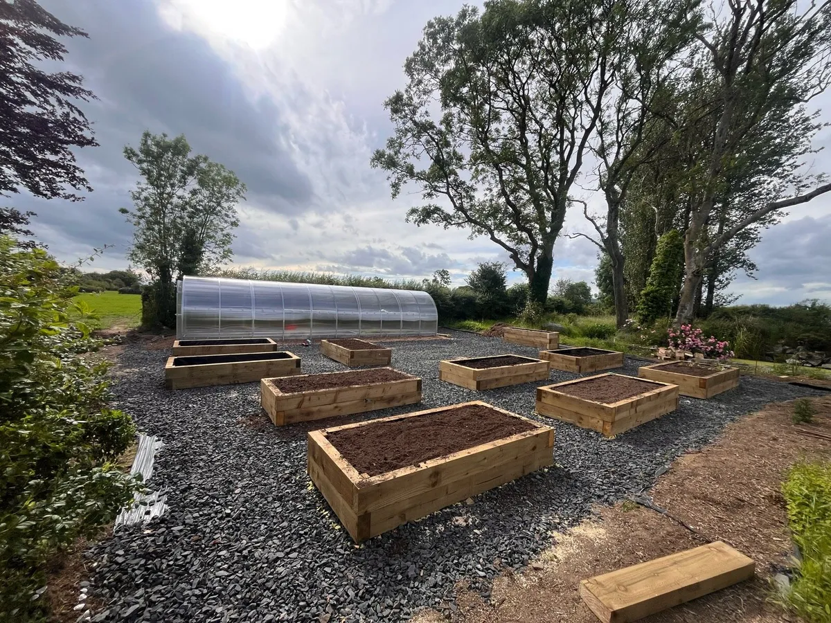 Raised planter beds - Image 3