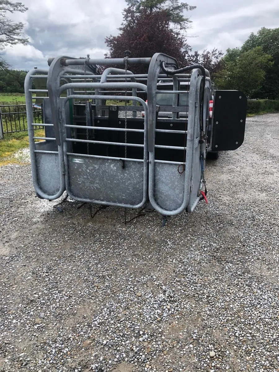 Hoof trimming crate - Image 4