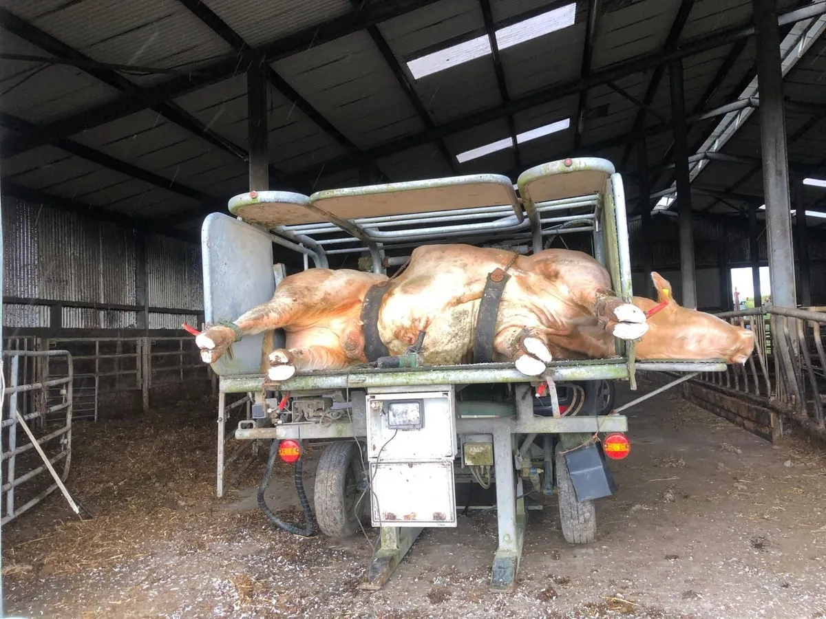 Hoof trimming crate - Image 2