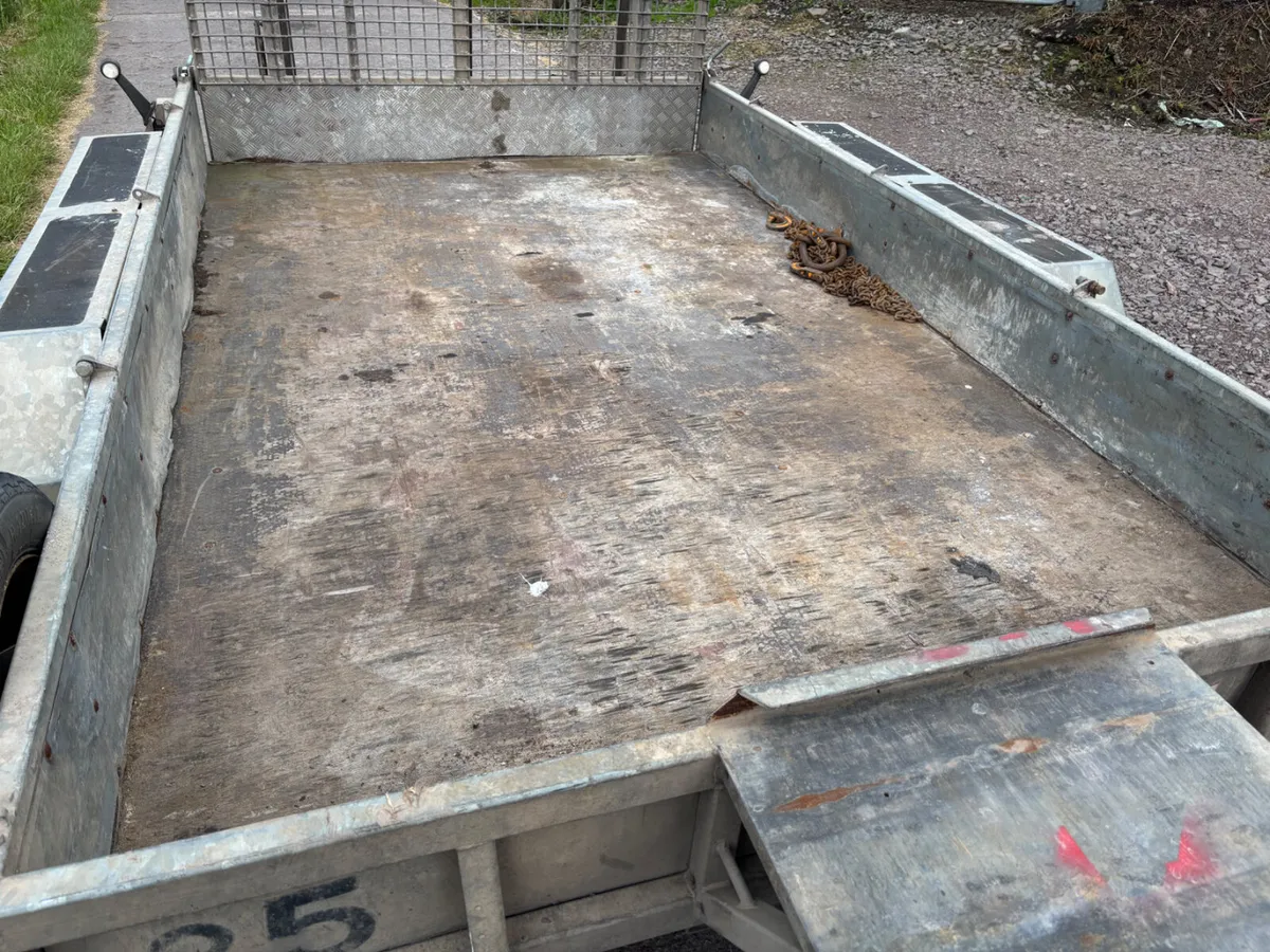 Nugent 10ft x 6ft plant trailer - Image 2
