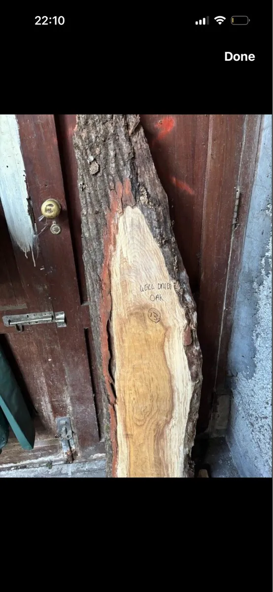 Slab of Oak - Image 4