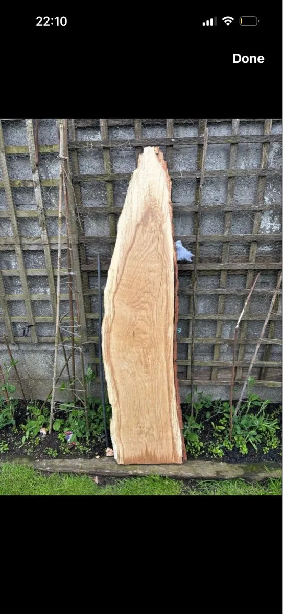 Slab of Oak - Image 1