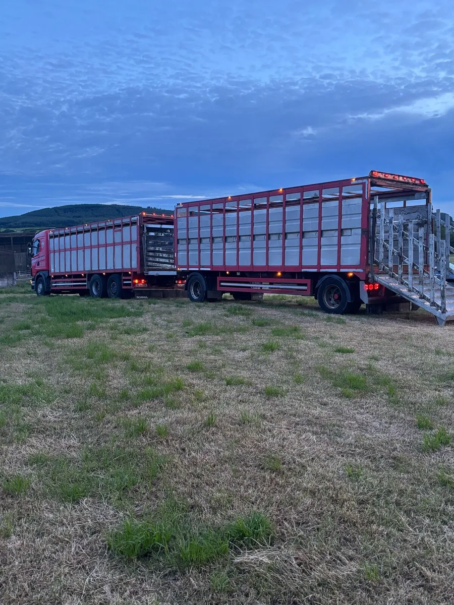 Scania R420 cattle truck and trailer - Image 2