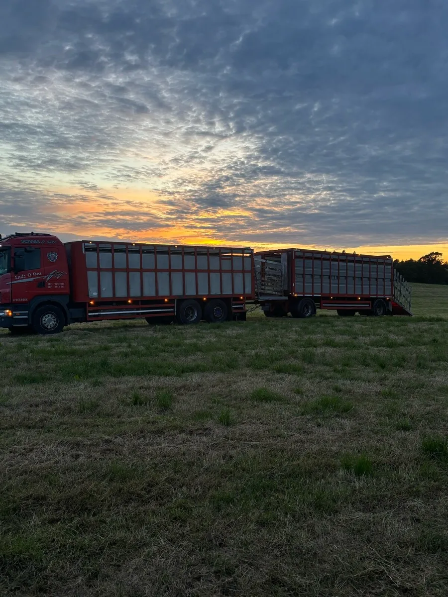 Scania R420 cattle truck and trailer - Image 3