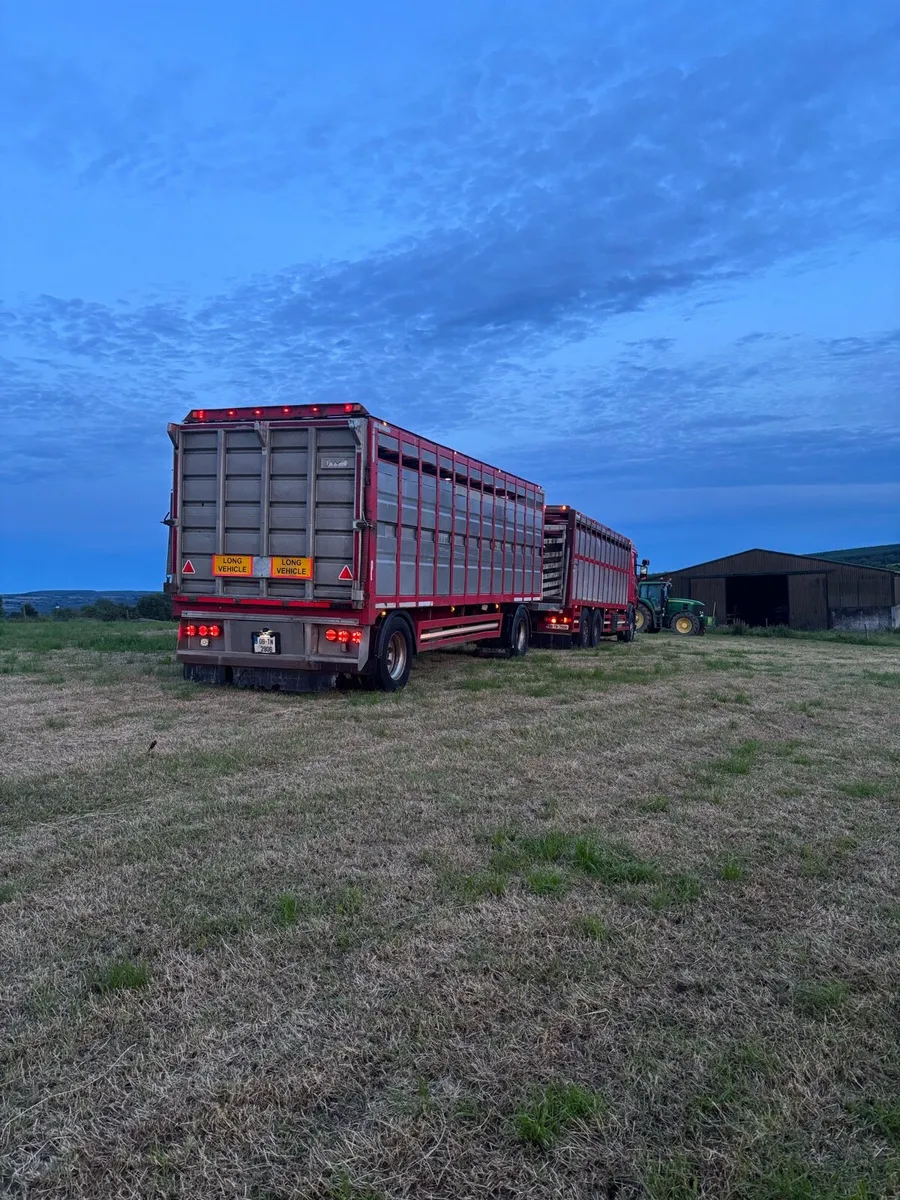 Scania R420 cattle truck and trailer - Image 4