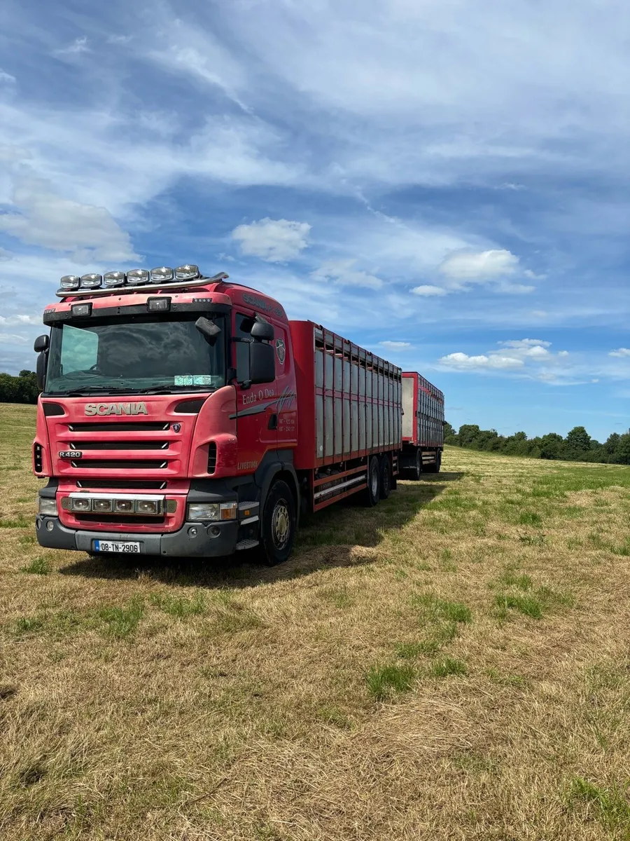 Scania R420 cattle truck and trailer - Image 1
