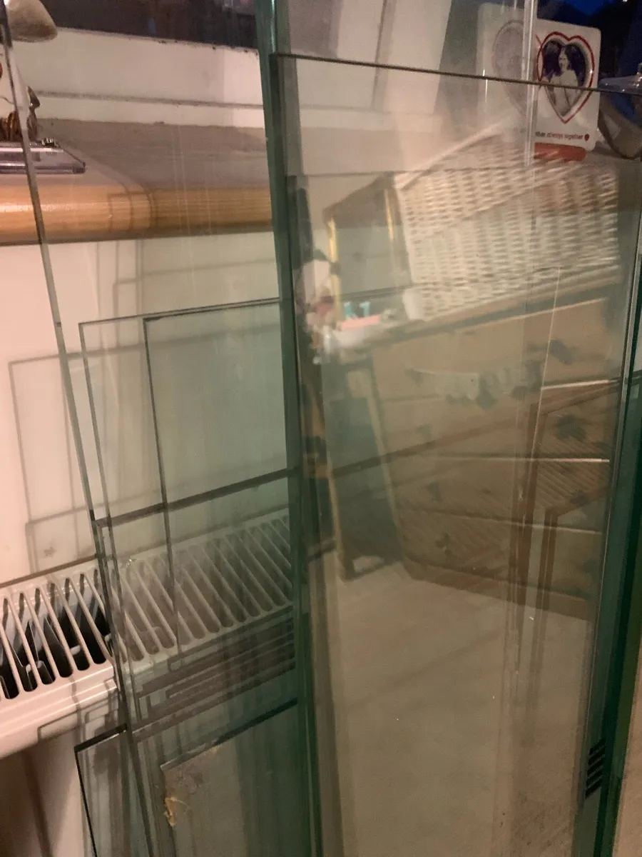 Glass Shelves - Image 2