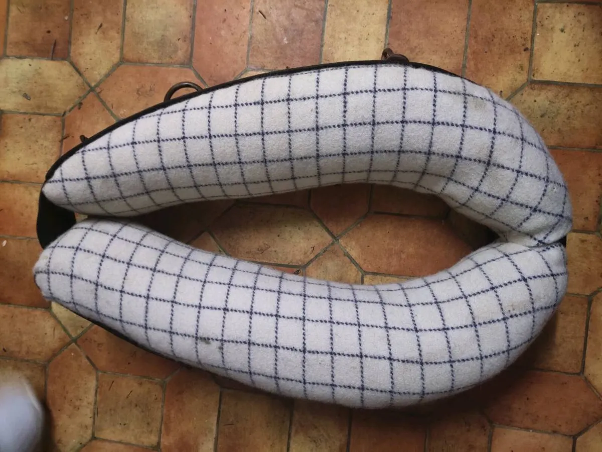 Newly lined coller great condition - Image 1