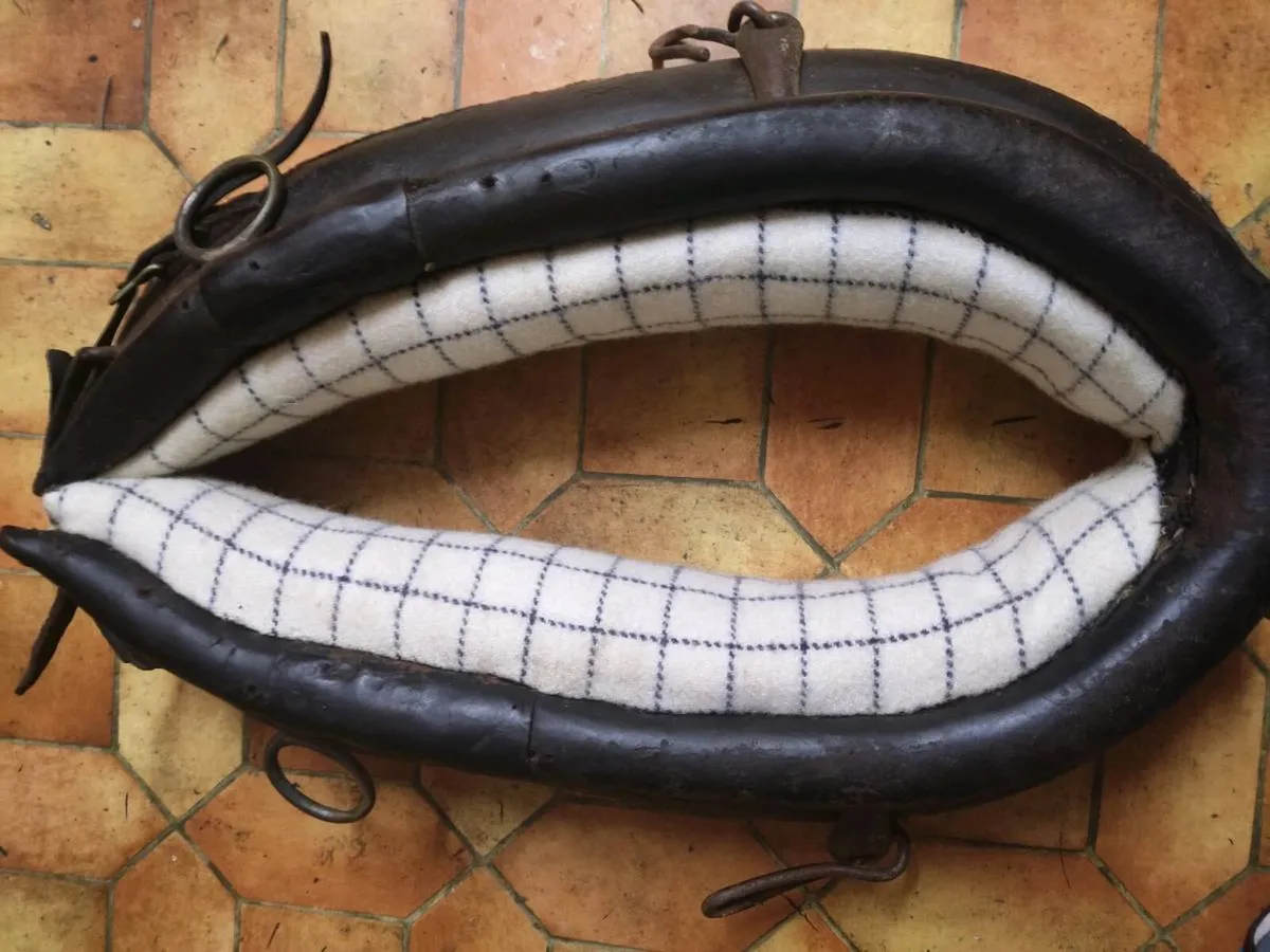 Newly lined coller great condition - Image 3