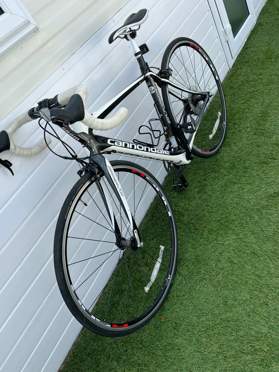 Cannondale  synapse carbon - Image 1