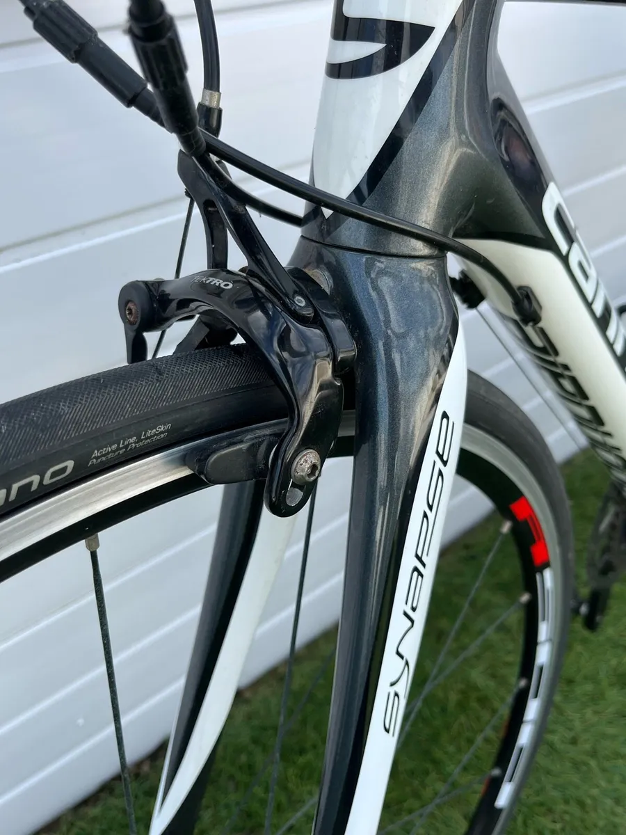 Cannondale  synapse carbon - Image 2