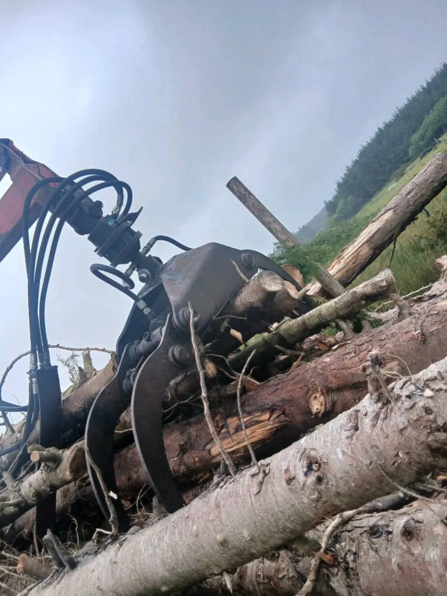 Log crane trailer - Image 4
