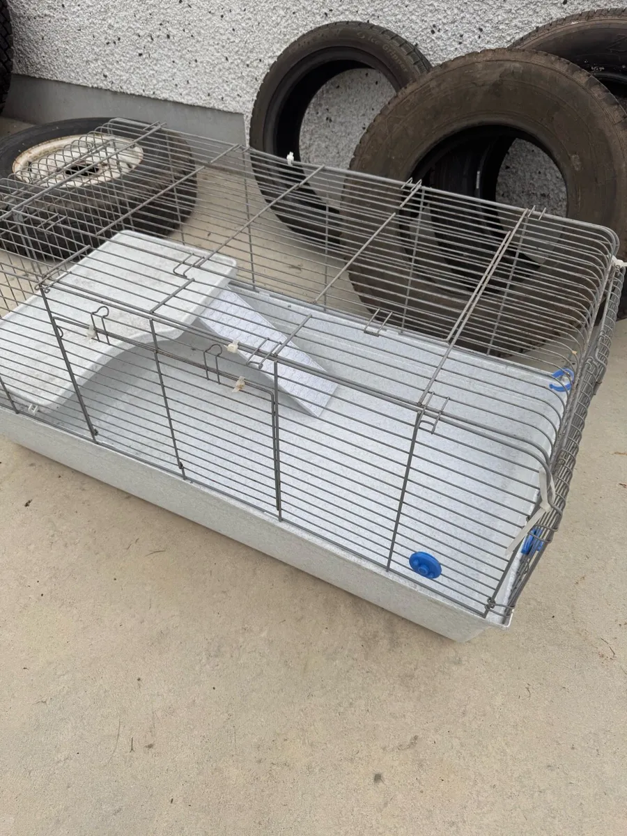 Hamster/guinea pig cage