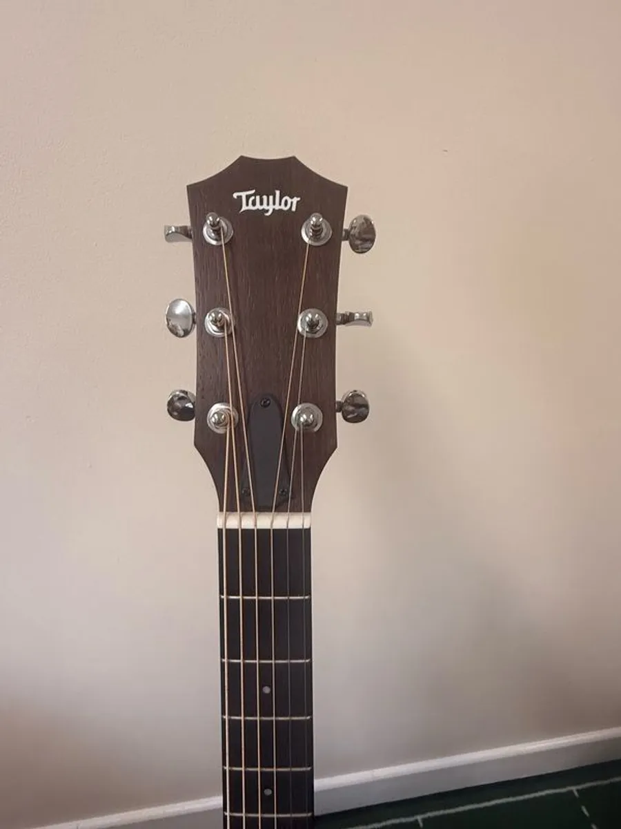 Taylor Acoustic - Image 2