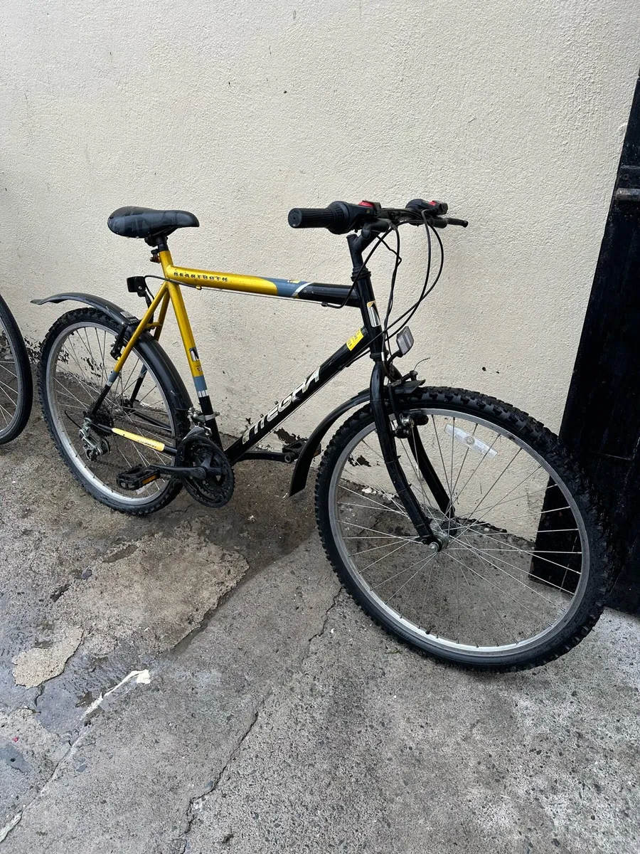 Cycle bikes - Image 3