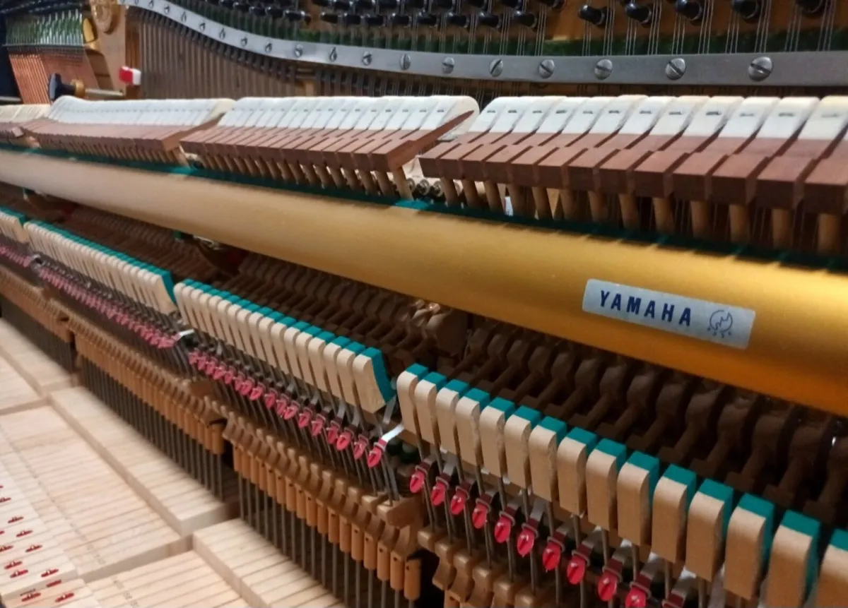 Yamaha U3 | Restored & Reconditioned - Image 2