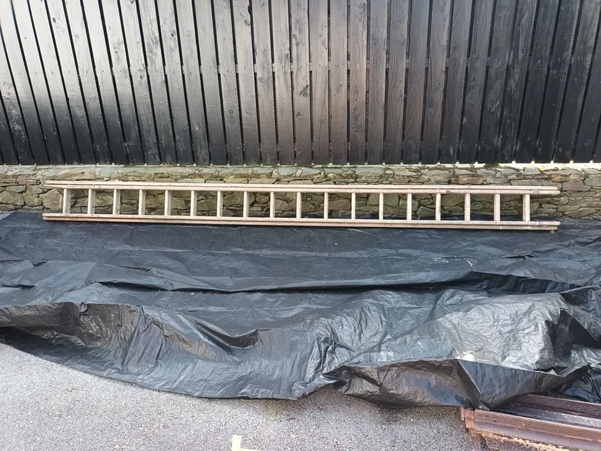 Selection of aluminium and wooden ladders - Image 4