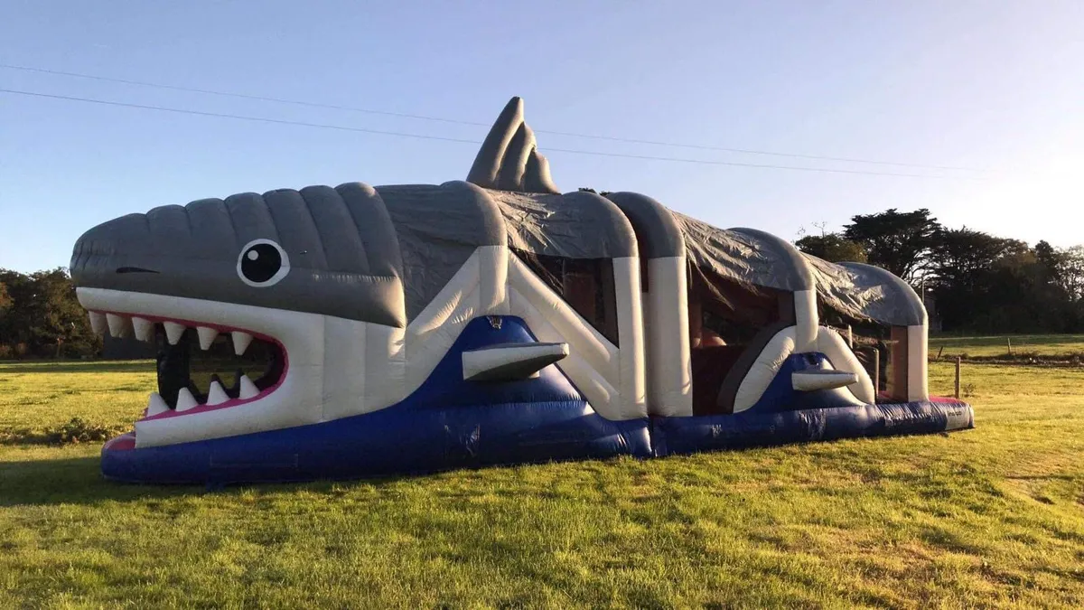 Bouncing castle - Image 4