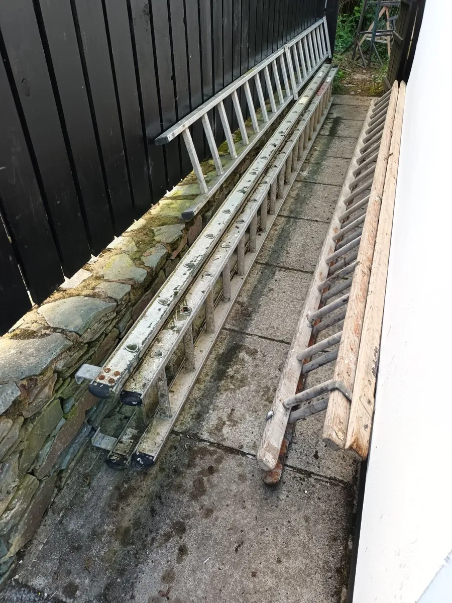 Selection of aluminium and wooden ladders - Image 1