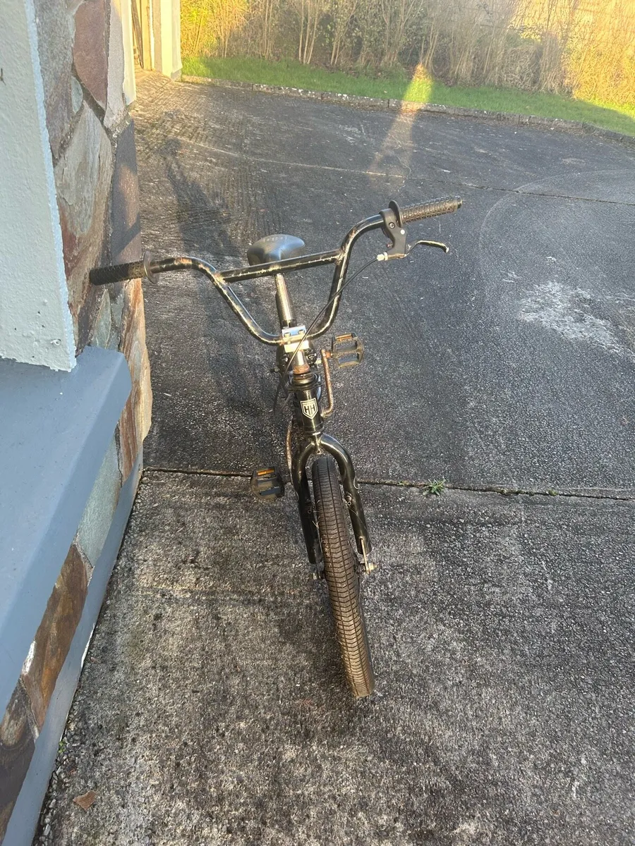 BMX - Image 4