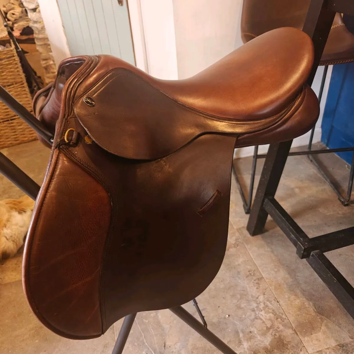 GFS Saddle - Image 1