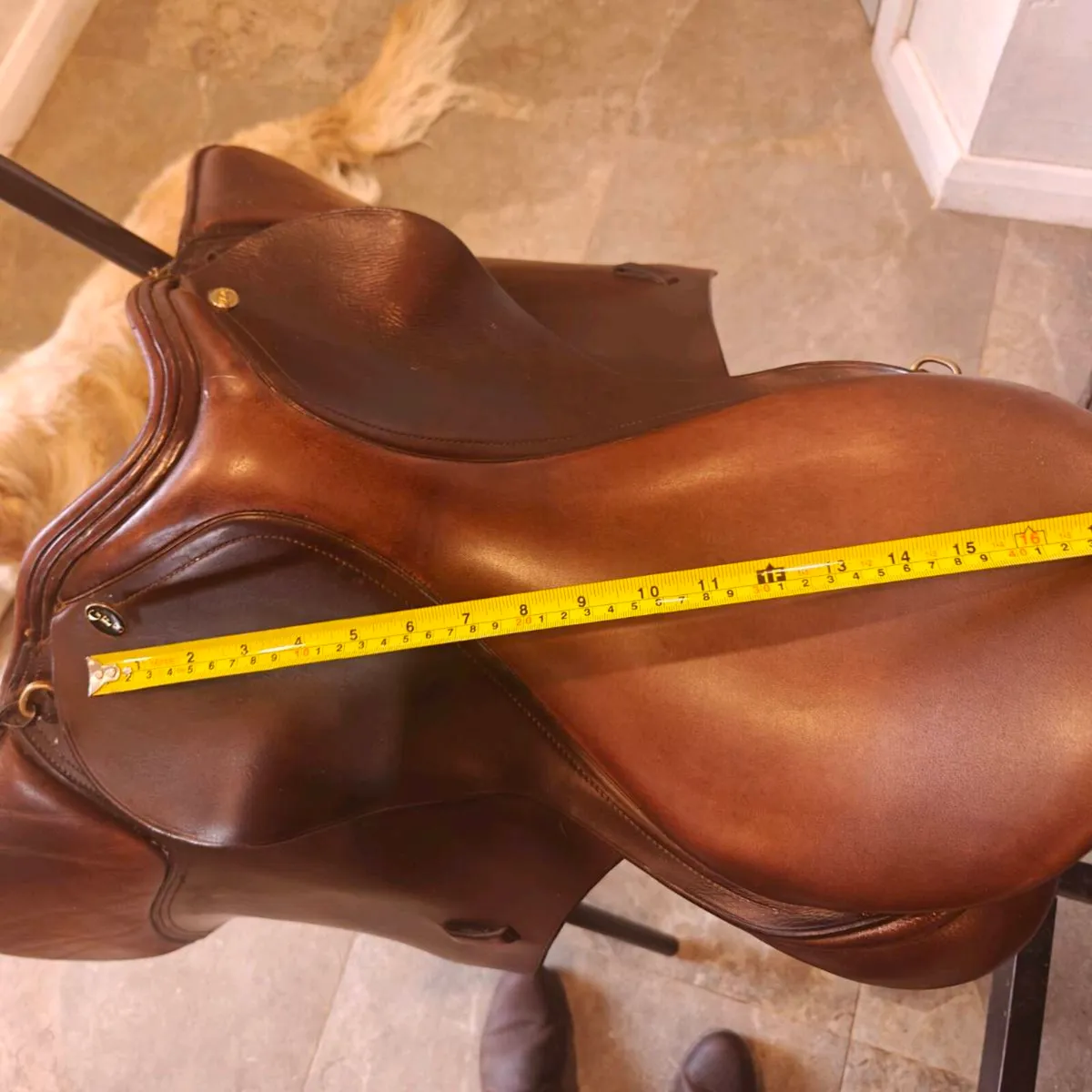 GFS Saddle - Image 2
