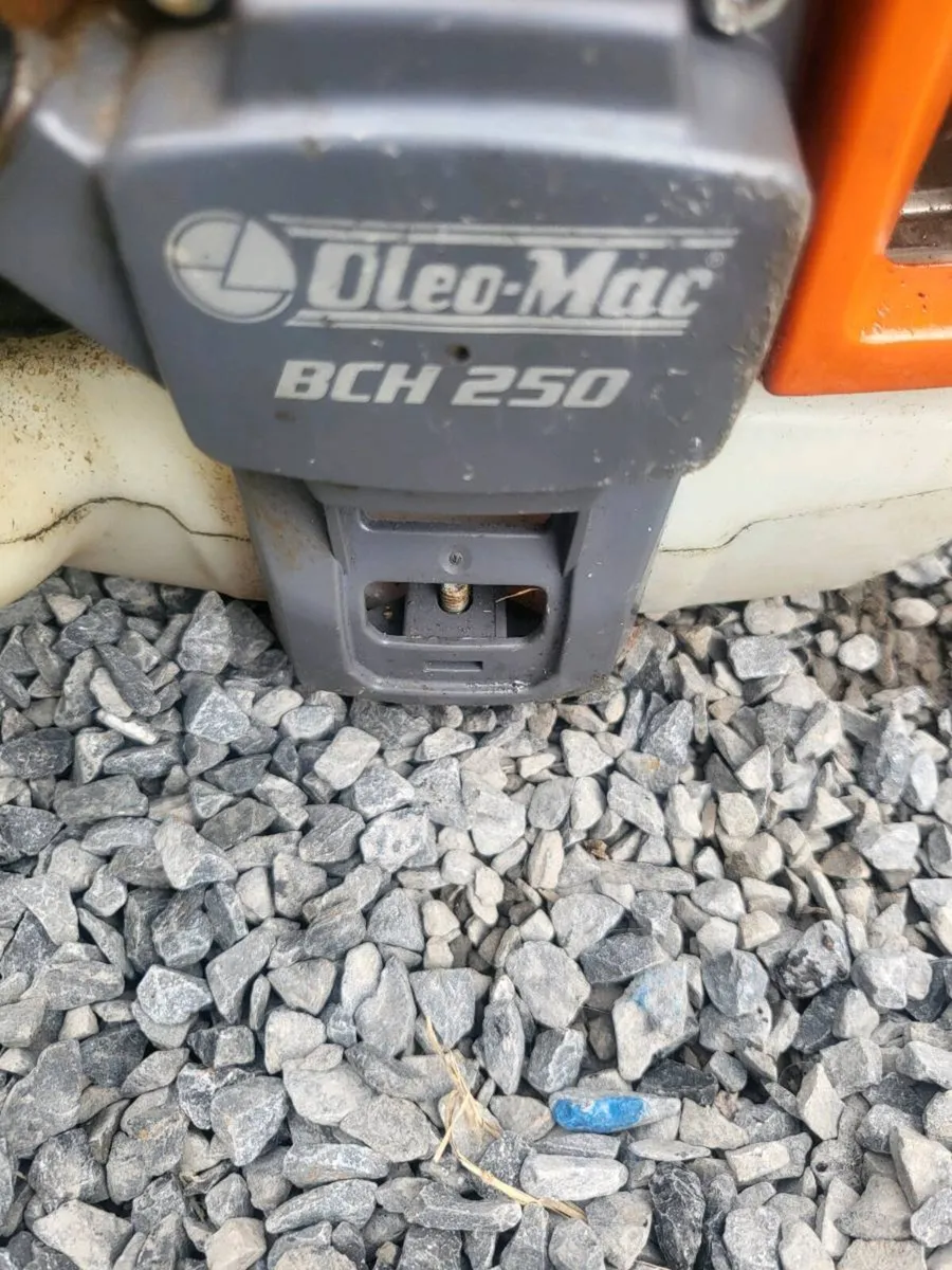 OLEO MAC LONG REACH POLE SAW - Image 3