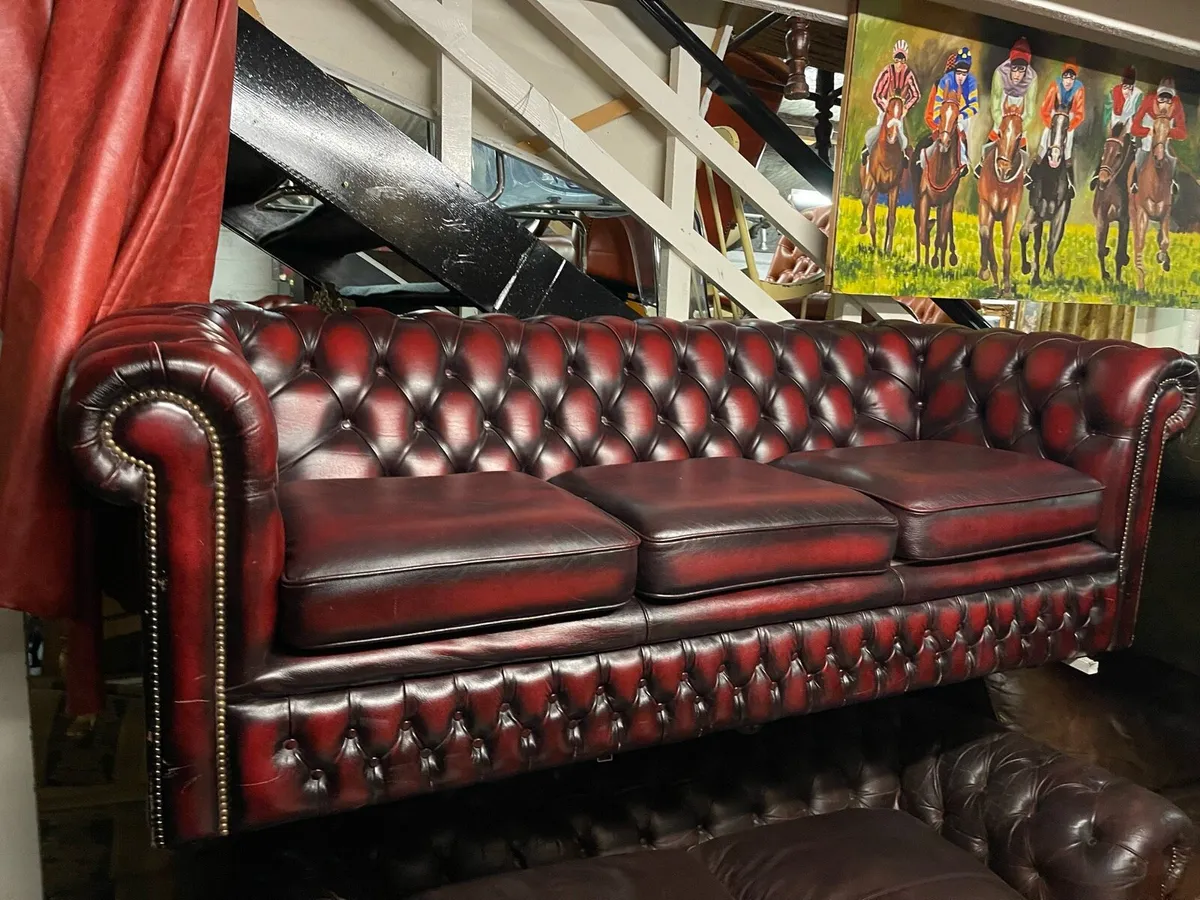 Original antique Chesterfield sofa - Image 2