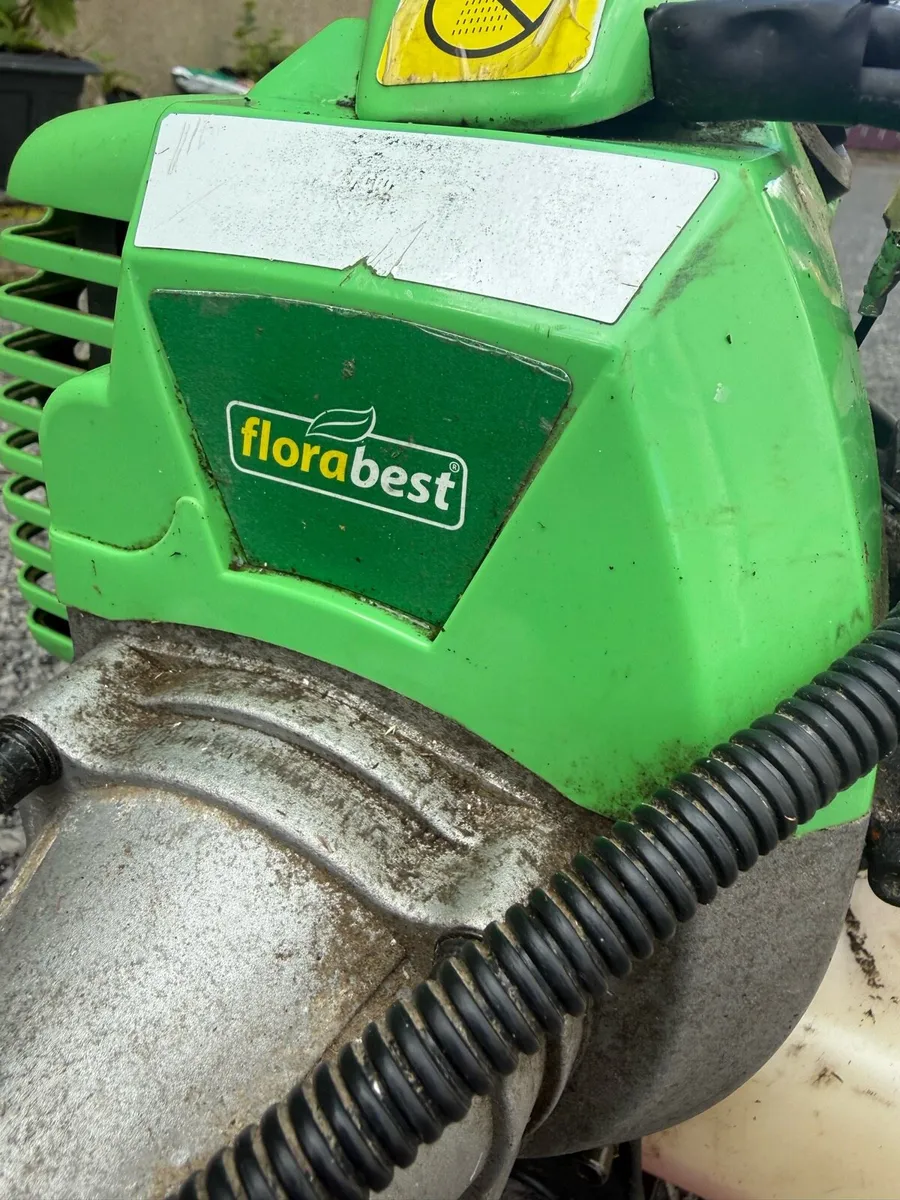 Grass strimmer - Image 2