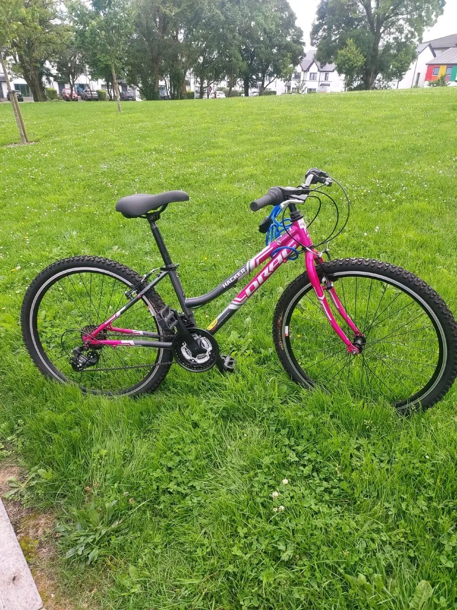 Teenage Bike - Image 1