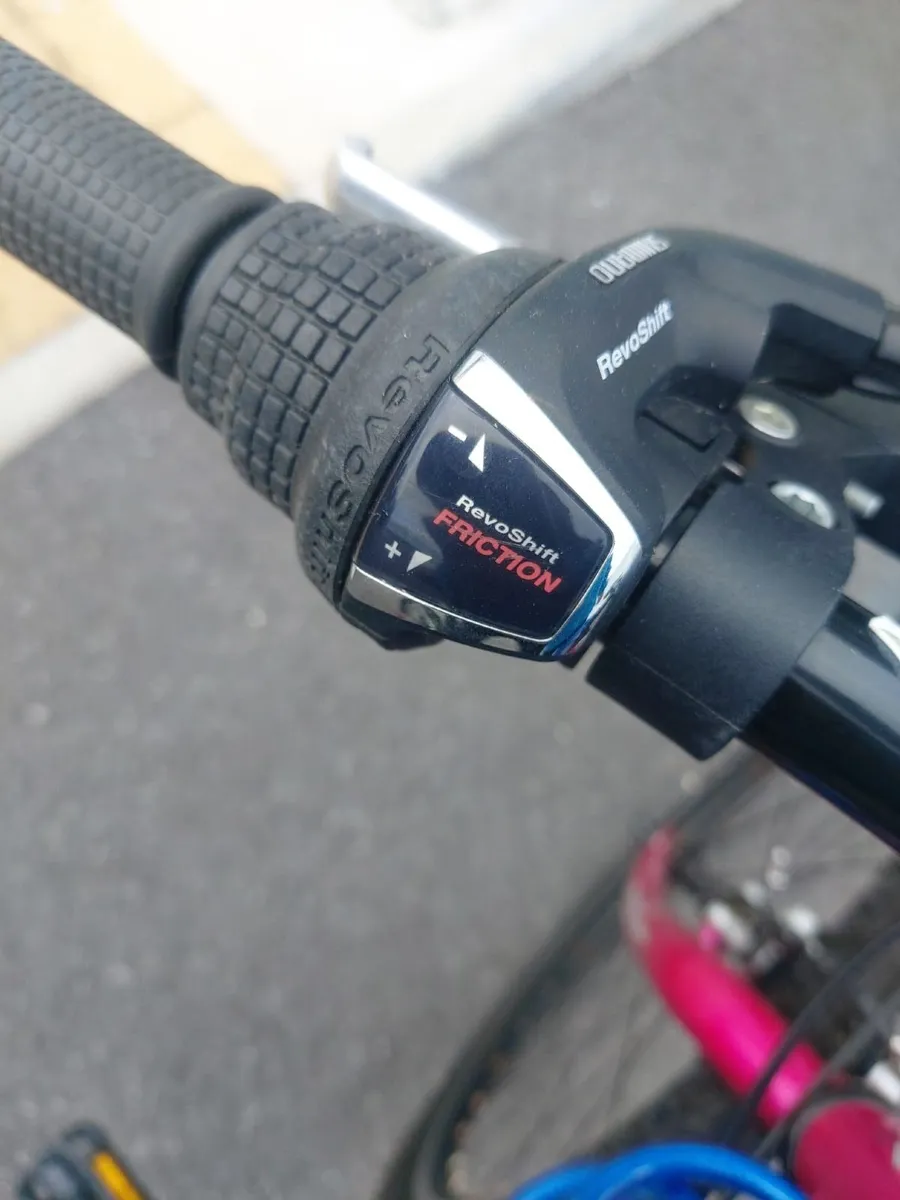 Teenage Bike - Image 3