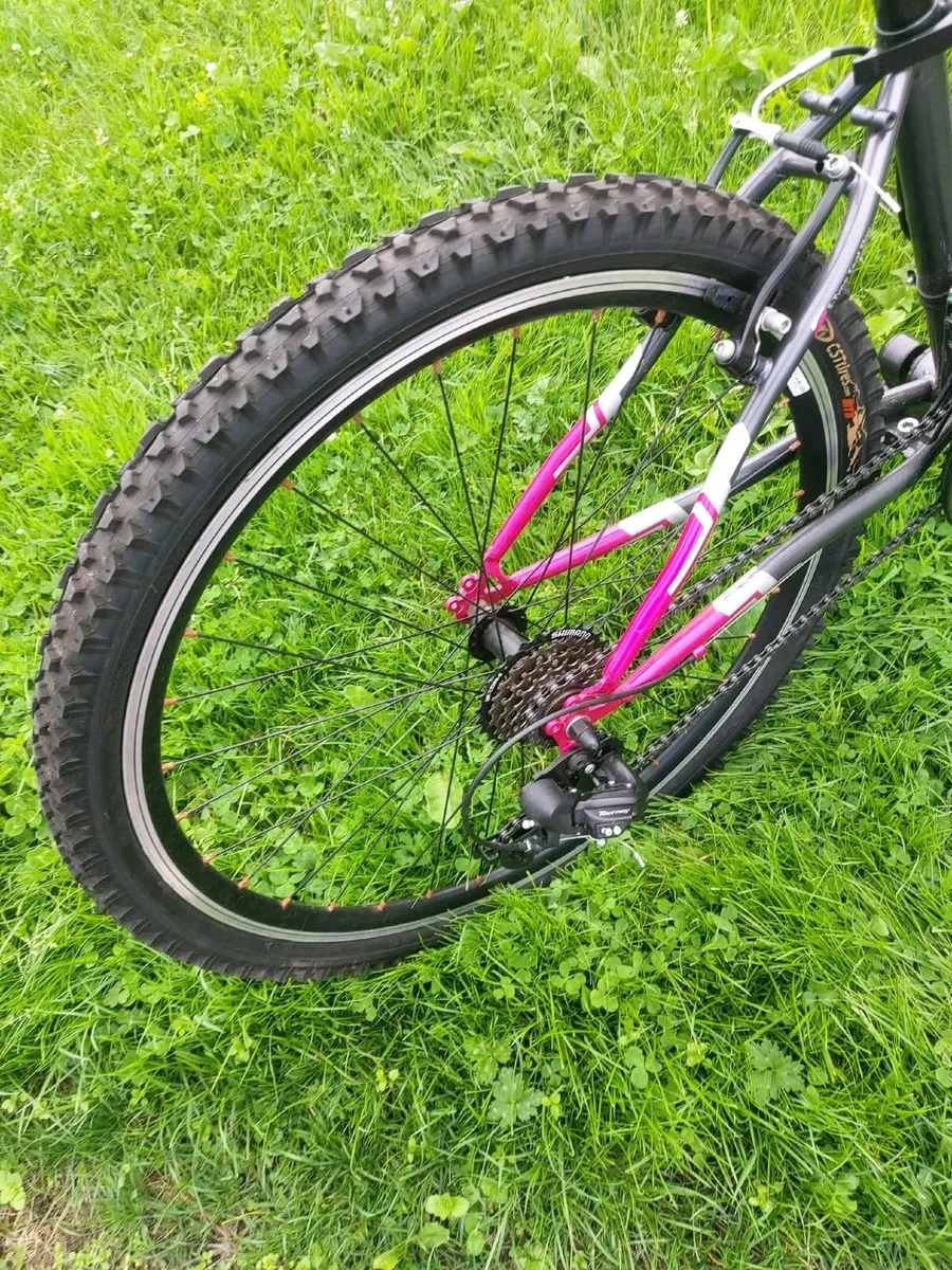 Teenage Bike - Image 4