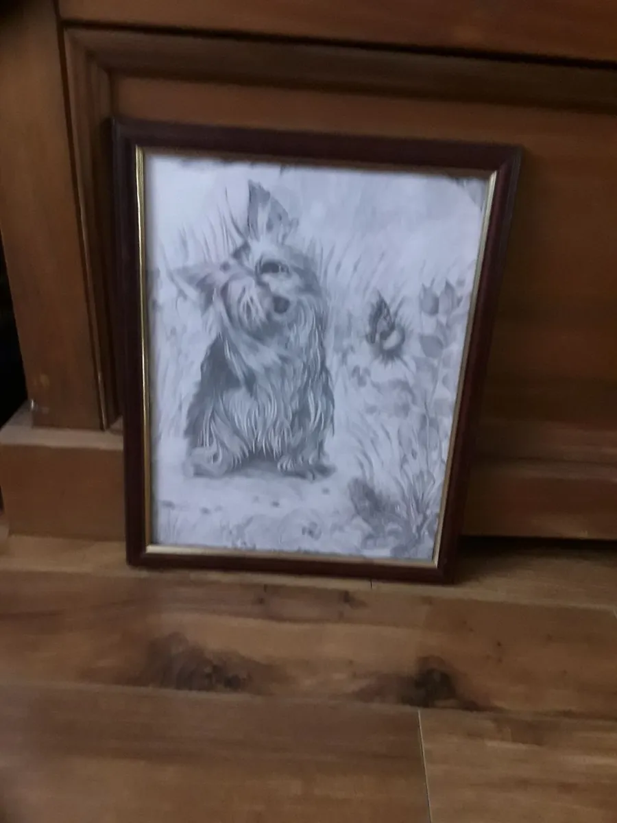 Nice print of a dog sketched - Image 1