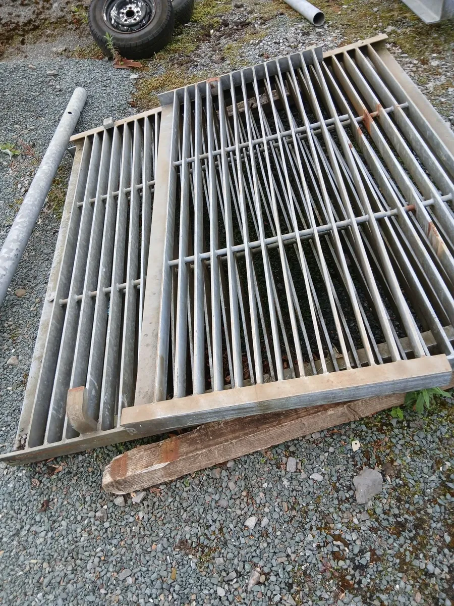 Grid - Image 1