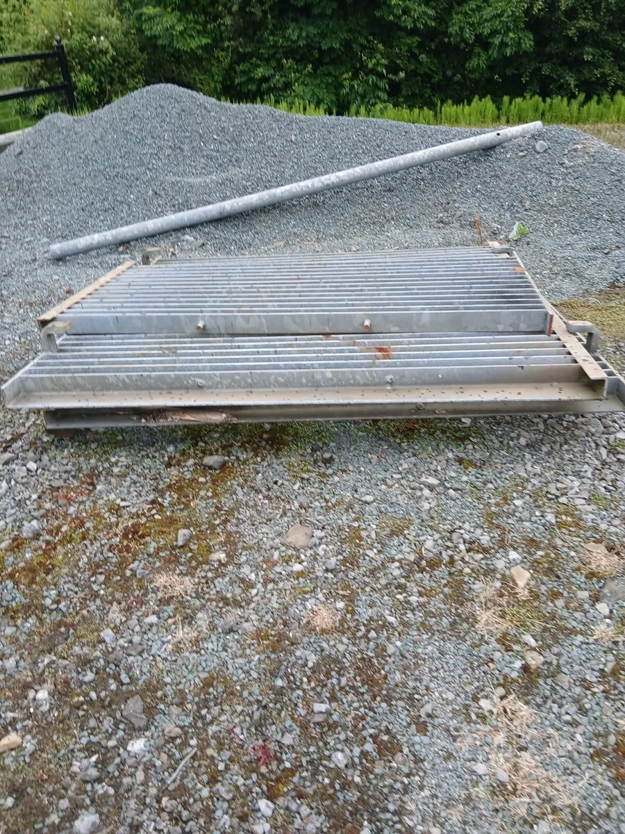 Grid - Image 2