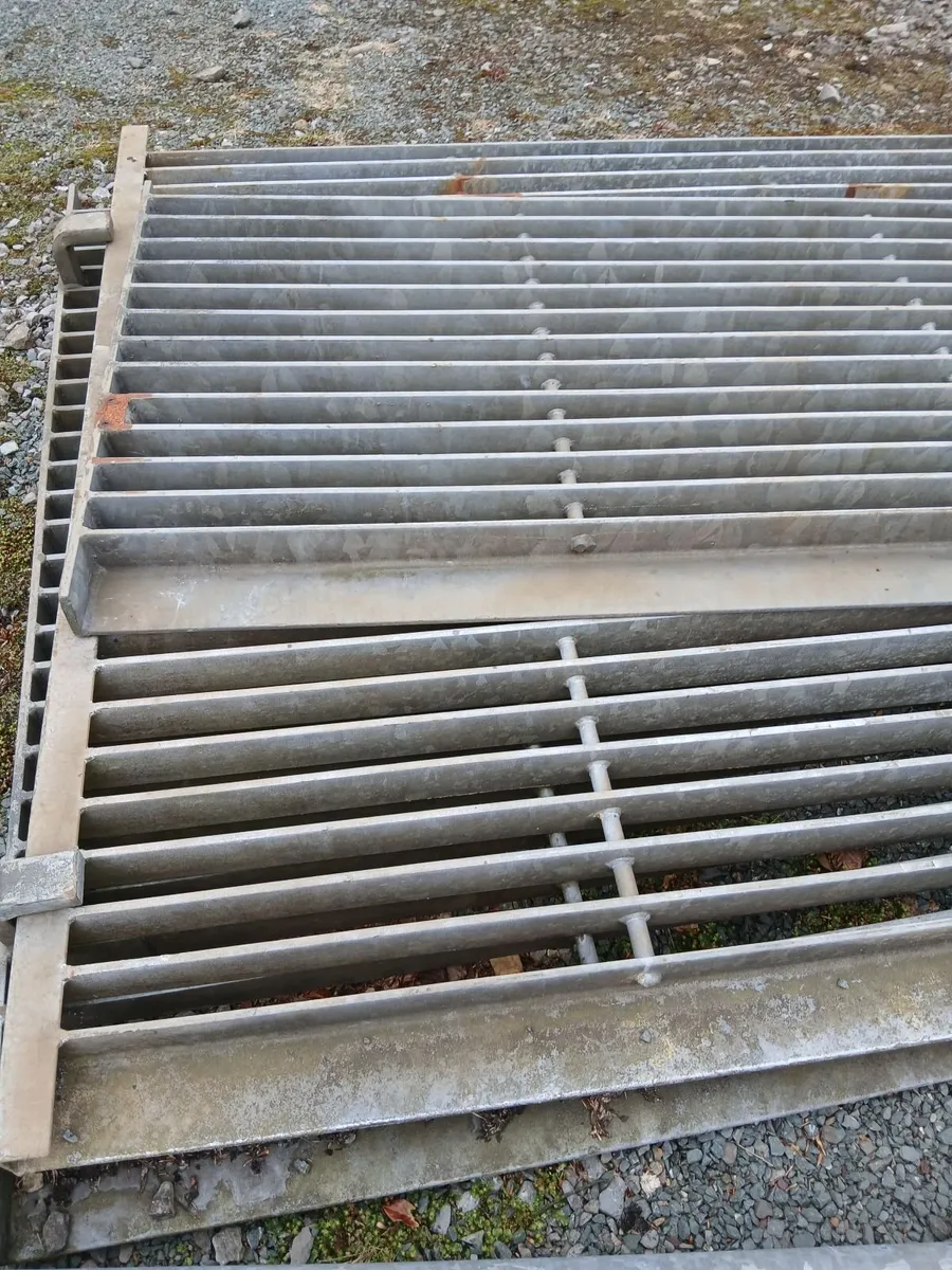 Grid - Image 3